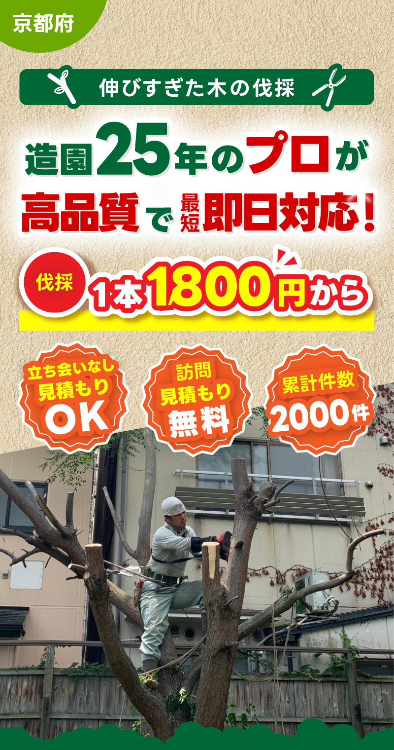 京都で伐採なら造園25年の京都剪定師へ 。最安1本1900円からご対応いたします。まずはお気軽にご相談ください。