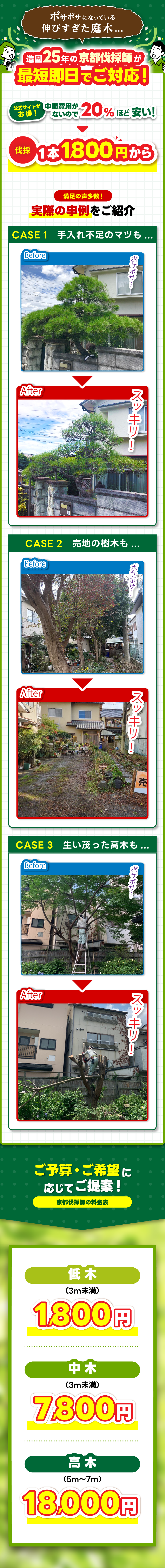 ボサボサになっている伸びすぎた庭木...