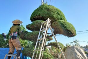 木を切る業者に頼むメリットは？伐採・剪定をプロに任せるべき理由と美しい庭の保ち方