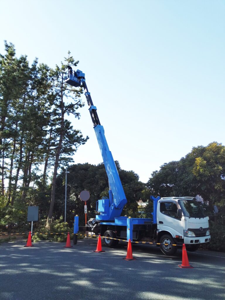 高くなりすぎた木の剪定は業者が正解？費用相場と京都で失敗しない選び方を徹底解説