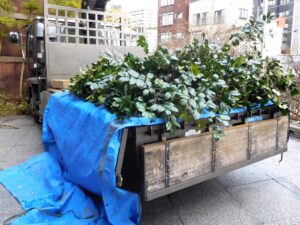 木の撤去費用を節約する全手法｜自分でやるリスクと業者依頼の分岐点をプロが解説