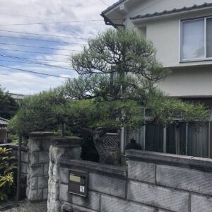 植木の剪定相場を種類・高さ別に徹底比較！見積もり後の追加料金を防ぐ確認リスト