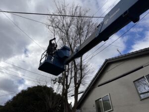 植木の剪定を業者に頼むメリットは？京都の景観を美しく保つプロの技術と納得の仕上がり
