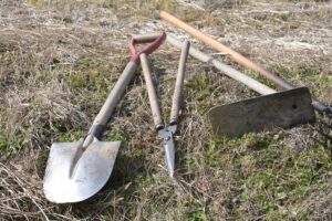 庭の伐採費用を節約したい方へ｜自作のリスクと業者依頼の価格差をプロが正直に比較